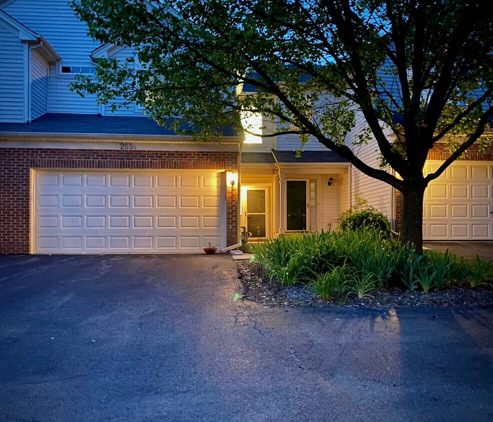 269 Nicole Dr, South Elgin, IL 60177 Townhome Rentals in South Elgin IL