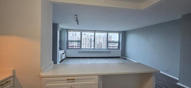 Foto del edificio - 1255 N Sandburg Terrace