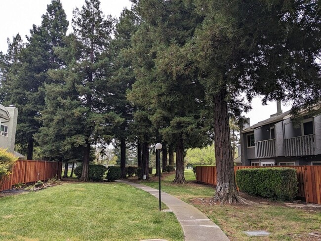 Foto del edificio - Amazing, gorgeous, end unit with huge yard...