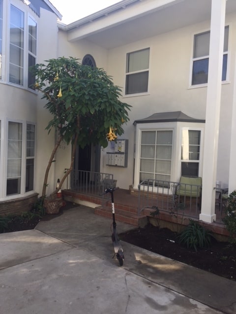 Building Photo - 617 Kelton Ave