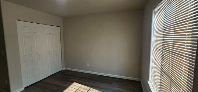 Building Photo - SF233-Fall