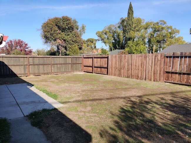 Large backyard - 625 School St