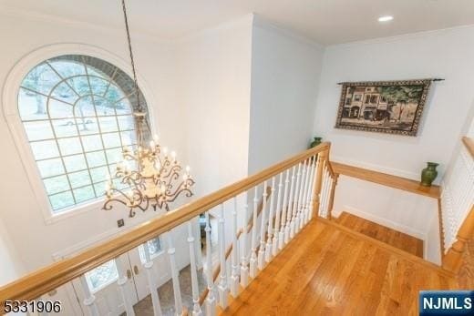 Foto del edificio - 16 Indian Hill Rd