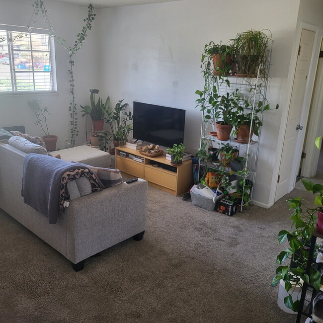 Building Photo - Excellent 2 Bedroom in West Fort Collins