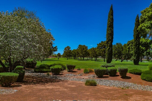 Building Photo - 55+ Age Restricted Los Prados Golf Communi...