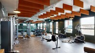 This fitness center offers a thoughtfully designed exercise space that balances functionality with distinctive style. The room is anchored by deep forest-green walls that create an energizing atmosphere, complemented by a bold, abstract watercolor mural that serves as a dramatic focal point along one wall. Overhead, a series of rust-orange acoustic panels are suspended across the ceiling in a staggered pattern, adding visual interest while managing sound throughout the space. Exposed ductwork and pendant lighting with warm-toned fixtures contribute an industrial-chic aesthetic.

The floor is finished in durable polished concrete, providing a sturdy, easy-to-maintain surface suited for heavy use. Full-length mirrors along one wall visually expand the space and support proper form during workouts. Natural light filters in through multiple windows positioned along the walls, offering views to the exterior.

Equipment is organized to maximize usable floor space and includes treadmills, rowing machines, stationary and spin bikes, an elliptical trainer, a multi-station cable machine, a squat rack, adjustable weight benches, a comprehensive dumbbell rack, and a medicine ball station. The layout allows for a smooth flow between cardio and strength training zones, making this a fully capable and visually compelling fitness facility.
