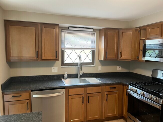 Fregadero completamente nuevo y armarios totalmente nuevos. - 608 Sangree Rd