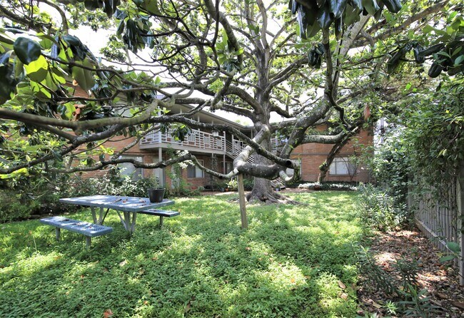 Boutique Mid-Century 8plex in Afton Oaks - 4719 Oakshire Dr