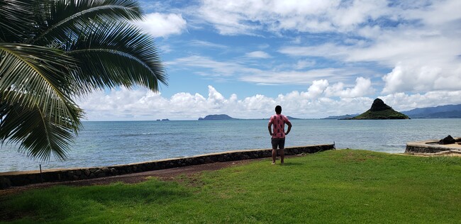 Backyard Oceanfront Views - 49-549 Kamehameha Hwy