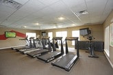 This residential fitness center is a comprehensive, single-floor facility thoughtfully designed to support a full range of workout routines. The space is divided into distinct functional zones, each tailored to a specific aspect of physical training.

The cardio area is generously sized, housing a row of TRUE brand treadmills alongside elliptical machines and stair climbers. Mounted flat-screen TVs and ceiling fans keep the environment comfortable and engaging during workouts. Large windows allow natural light to filter in, offering views of the surrounding outdoor landscape.

The strength training section features a robust selection of Cybex cable machines and multi-function weight stations, complemented by full-length mirrors that enhance the sense of space and allow for form monitoring. Motivational fitness artwork adorns the neutral-toned walls, and an arched window adds an architectural detail that brightens the area naturally.

A dedicated lounge area provides a place to rest and recover, furnished with a large sectional sofa and a wall-mounted TV. Decorative artwork adds warmth to the relaxed setting.

Throughout the facility, drop-panel ceilings with recessed and fluorescent lighting maintain consistent illumination. The space is carpeted throughout for comfort, and posted fitness center rules ensure a safe, organized environment reserved exclusively for residents.