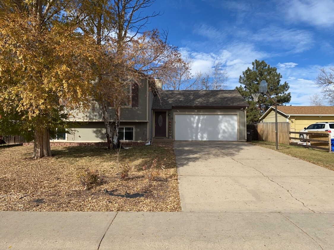 Primary Photo - Spacious Tri-Level Home in West Fort Collins