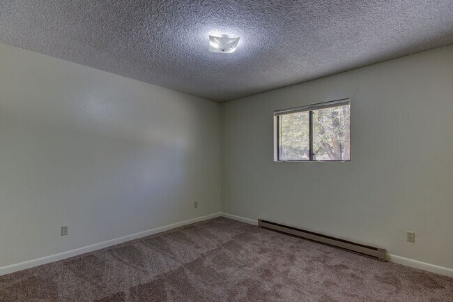 Foto del edificio - 214 S. Rush Street  A