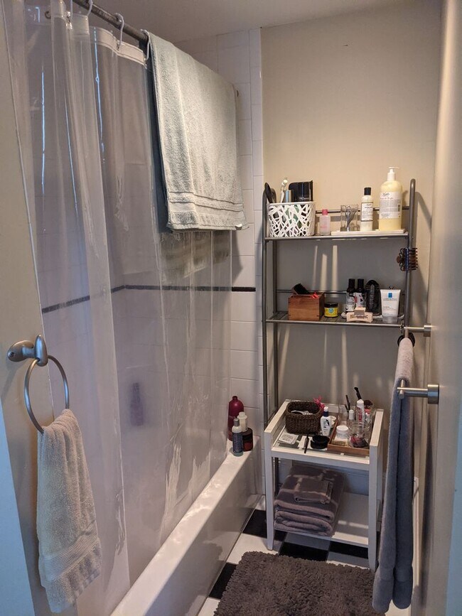 Foto del edificio - South End 1 bedroom for 9/1 on Tremont Street