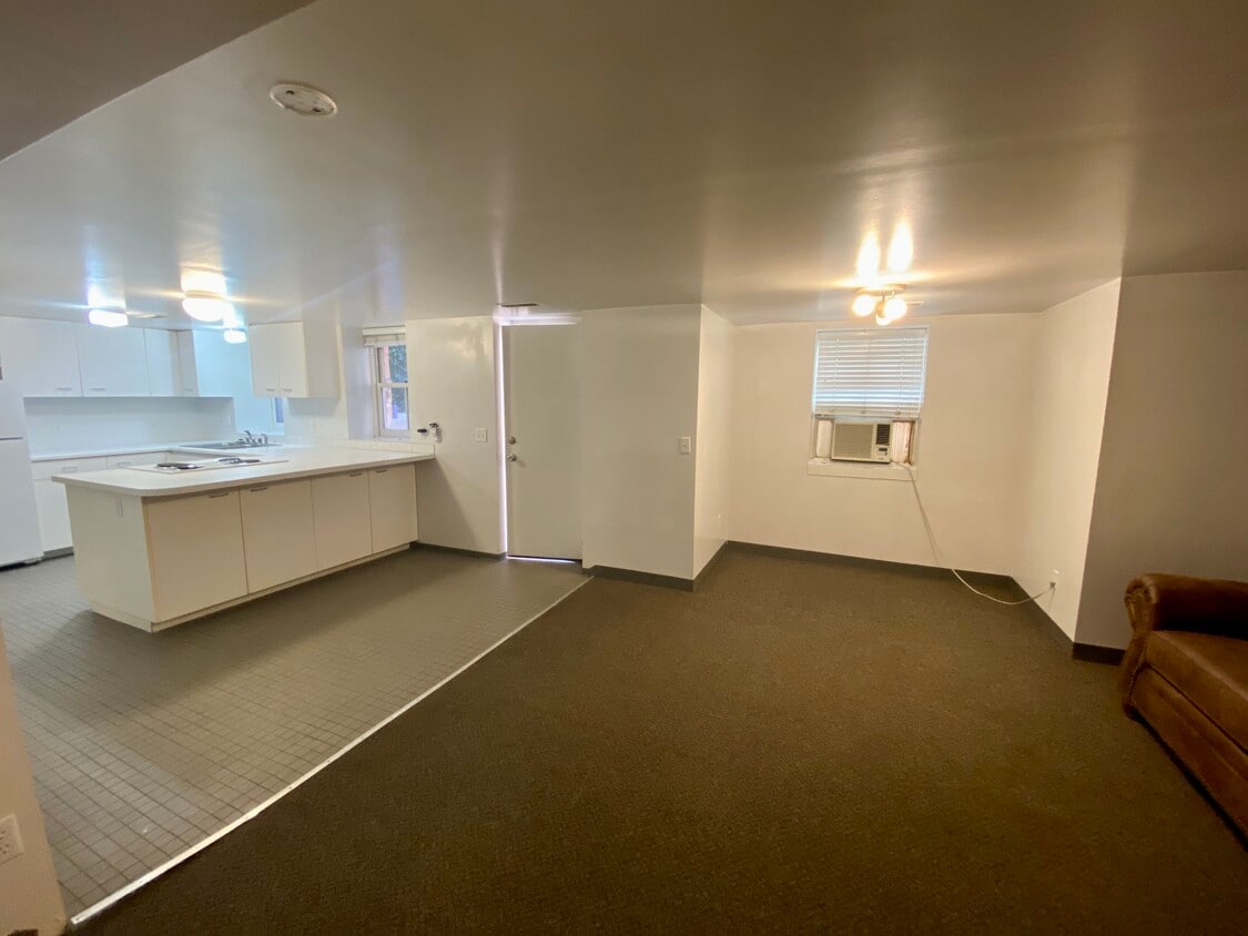 Large basement unit - 249 S Douglas St