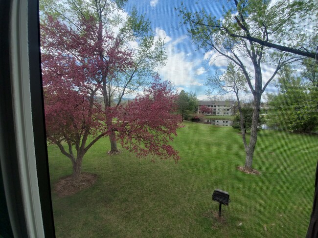 Building Photo - 1705 Heatheridge Rd