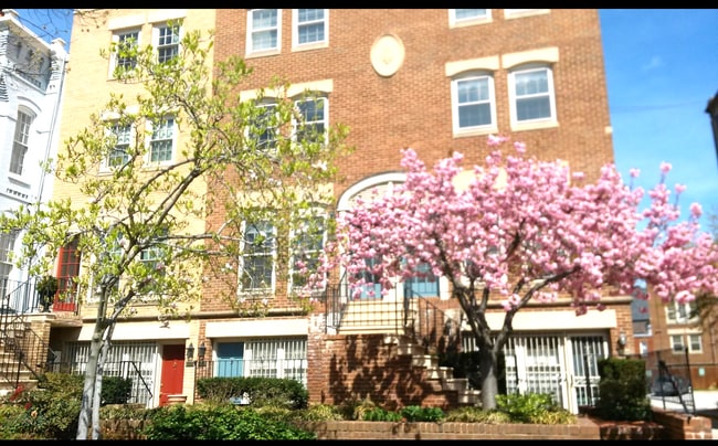 Building Photo - 236 Maryland Ave NE