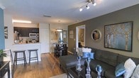 Located at 11100 Point Sylvan Cir in Orlando, Florida, this single-story residence offers a thoughtfully designed open-concept floor plan that maximizes both space and functionality. The main living area features warm hardwood-style flooring that flows continuously throughout, creating a cohesive and inviting atmosphere. Neutral and deep-toned accent walls complement the overall aesthetic, adding depth and character to the space.

The living room is anchored by a plush sectional sofa accented with decorative throw pillows in teal and gray tones, complemented by a sleek glass-top coffee table and ottoman. Track lighting on the ceiling provides ample illumination, while a decorative round mirror adds a stylish focal point to the accent wall.

The dining area sits adjacent to the living space, centered around a compact round table with bar-style seating beneath an elegant pendant light fixture. This area transitions naturally into the kitchen, which features dark cabinetry, granite-style countertops, stainless steel appliances including a built-in microwave and oven, and a breakfast bar with seating. A closet-style pantry adds practical storage. A hallway visible from the main area leads to additional rooms, including a bathroom, completing this well-appointed single-level home.