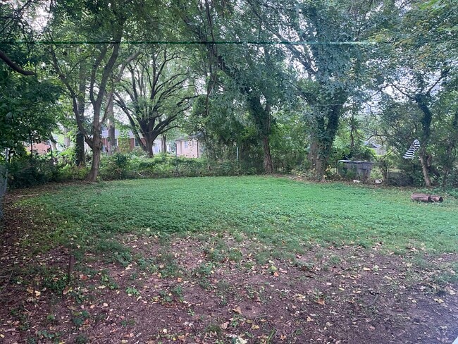 Back Yard - 1029 Justice Ave