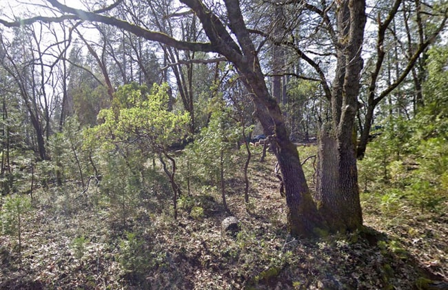 Building Photo - 13642 Brooks Rd