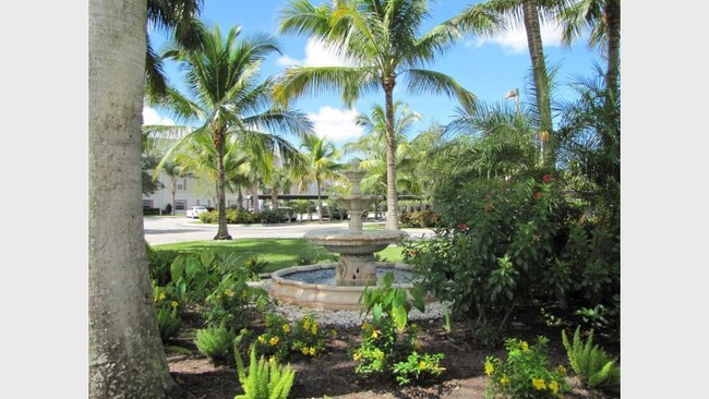 Interior Photo - Coral Cove