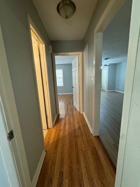 Building Photo - 218 Pekin St