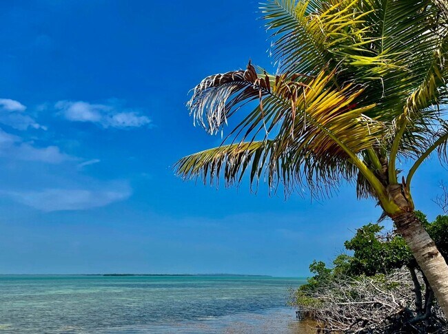 Foto del edificio - Move in Special! $500 off the First Months Rent!