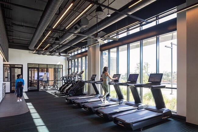 Edge - Gimnasio - Orlo and Alba