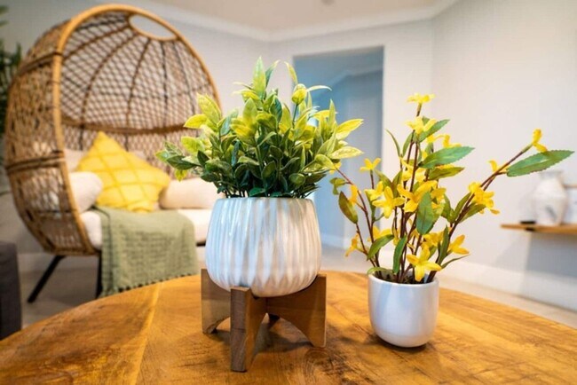 Foto del edificio - Fully Renovated Home Near Busch Gardens