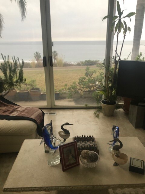 View from Living Room - 31250 Bailard Rd