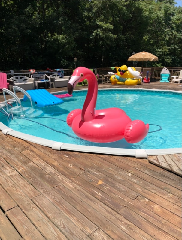 Building Photo - 4623 Treely Rd