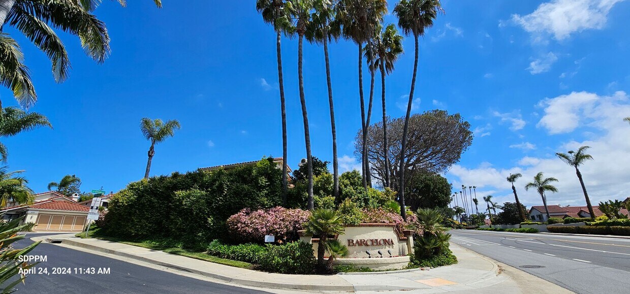 Primary Photo - UNIVERSITY CITY - La Jolla Colony Barcelon...