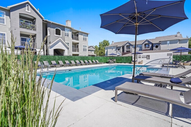 RESORT STYLE POOL | PRESTON HOLLOW - Preston Hollow
