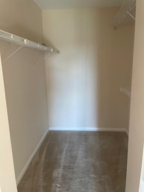 Building Photo - 703 Sunny Pine Way