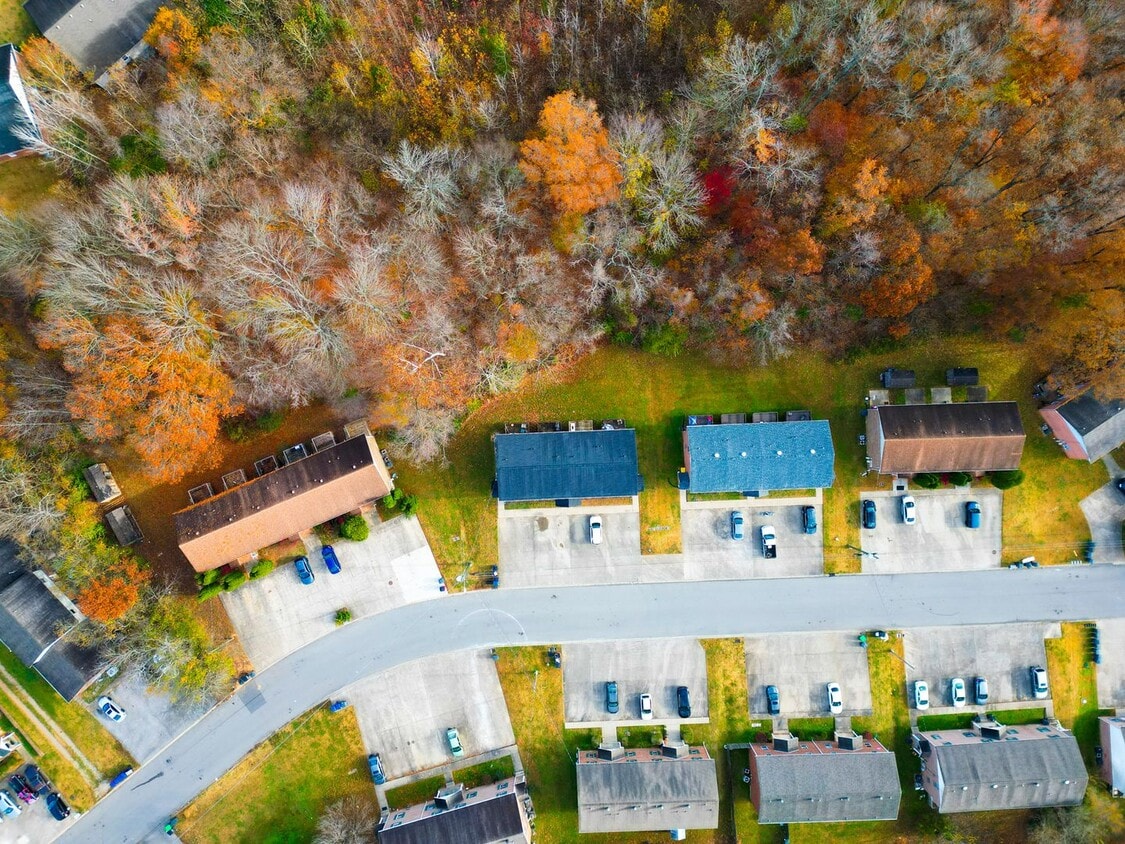 Building Photo - 1711 Baltimore Dr
