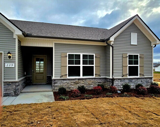 Building Photo - 229 Republic St