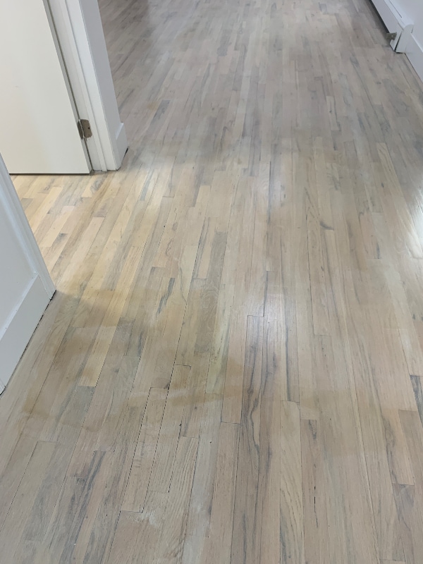 Foto del edificio - 768 Saratoga Ave