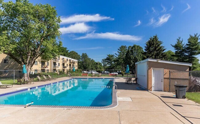 Piscina y solárium - 1575 W Street Rd