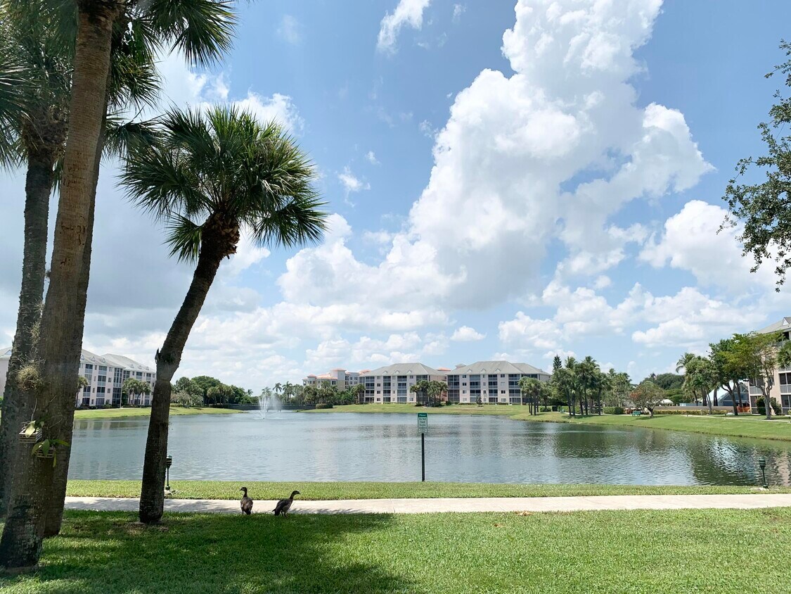 353 US1 Unit B 103, Jupiter, FL 33477 Condo for Rent in Jupiter, FL