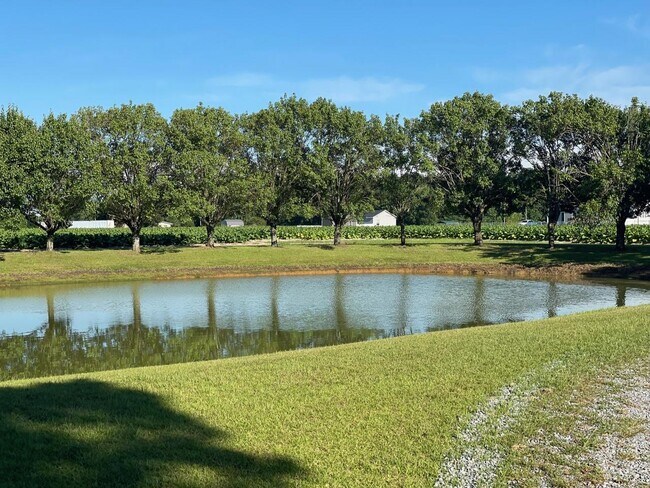 pond - 4528 NC Hwy 242 S