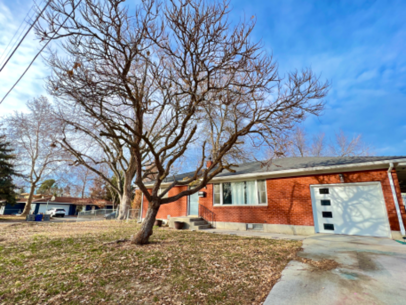 Foto principal - 1518 W Howe St