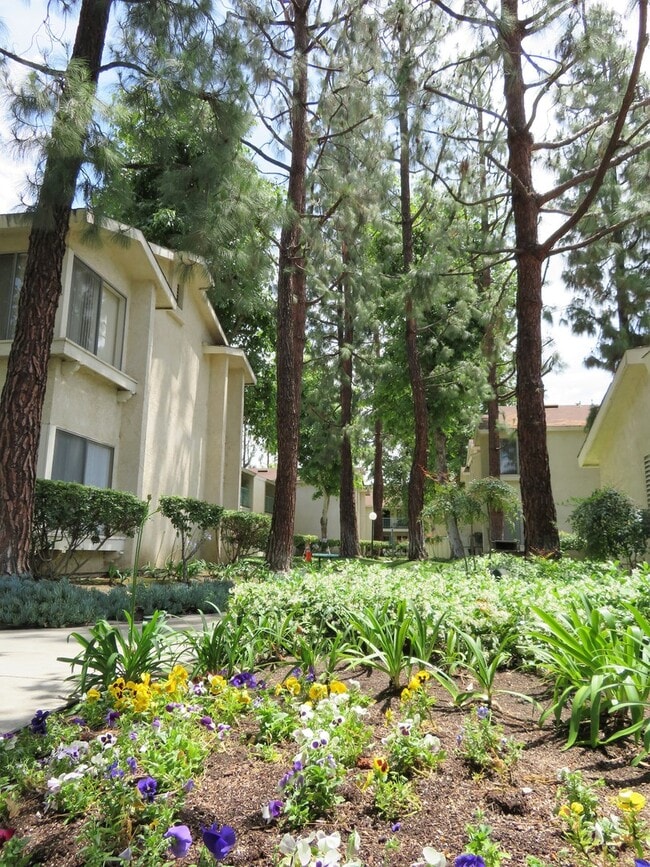 Foto del interior - Jasmine Villas