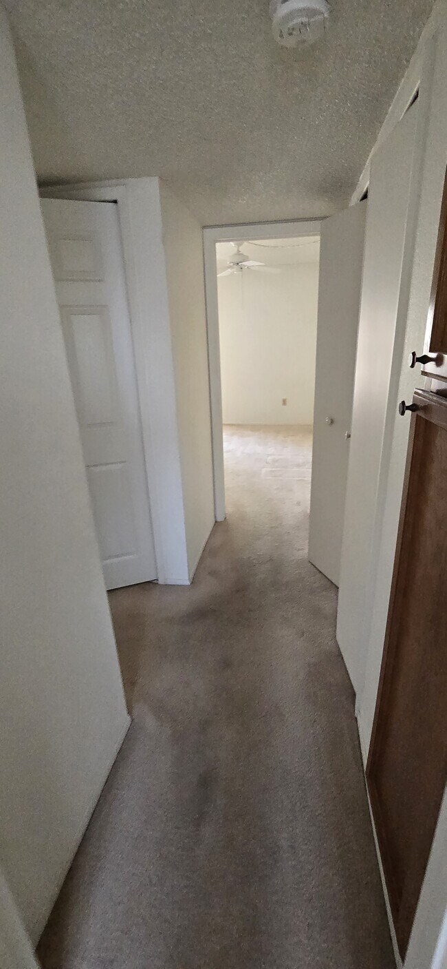 Foto del edificio - 5518 E Lindstrom Ln