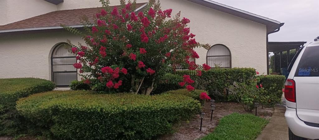 Foto principal - 9135 Lingrove Rd