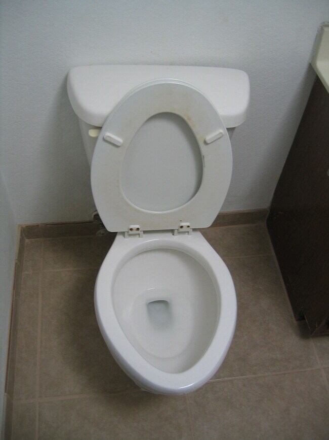 Photo - 1119 E 12th St Apartments