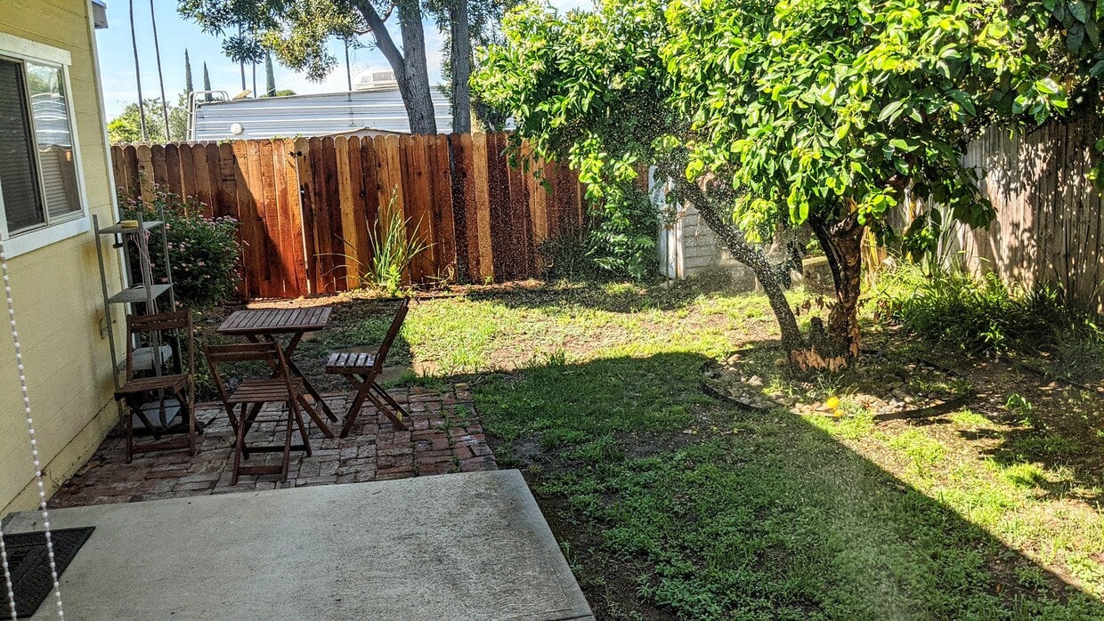 Fenced yard - 708 Palisade St