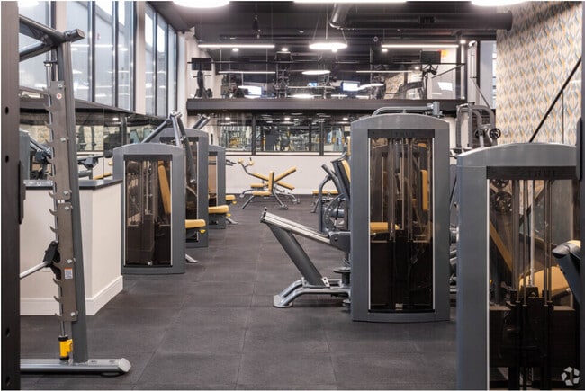 Gym - 26 Lane Ave