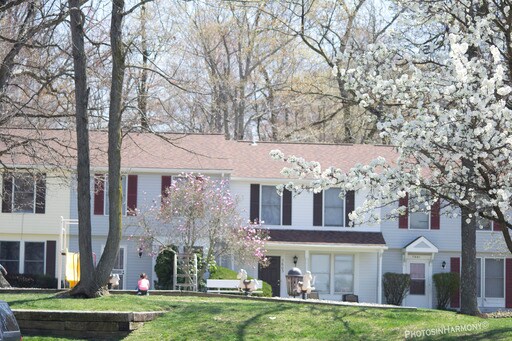 Primary Photo - 7514 Firethorn Dr