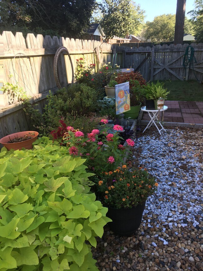 Garden space and padio - 728 Etheridge Rd