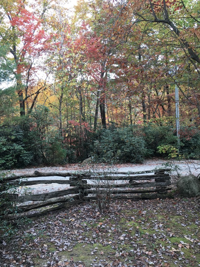 Foto del edificio - Fall Creek Cabins