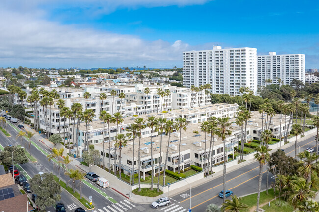 Aerial Photo - Sea Colony